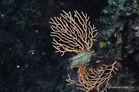 calanques-de-marseille2026-09-05